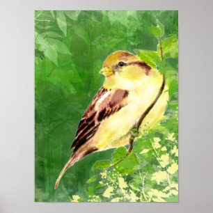 Aquarellmalerei auf Sparrow Bird in Tree Poster