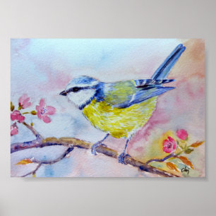 Aquarellmalerei Bluetit Blauer Vogel Poster