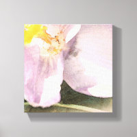 Aquarellmalerei Crocus Blume