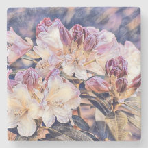 Aquarellmalerei einer lila Azeenblüte