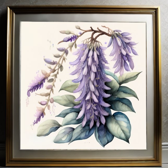 Aquarellmalerei in Wisteria Poster (Von Creator hochgeladen)