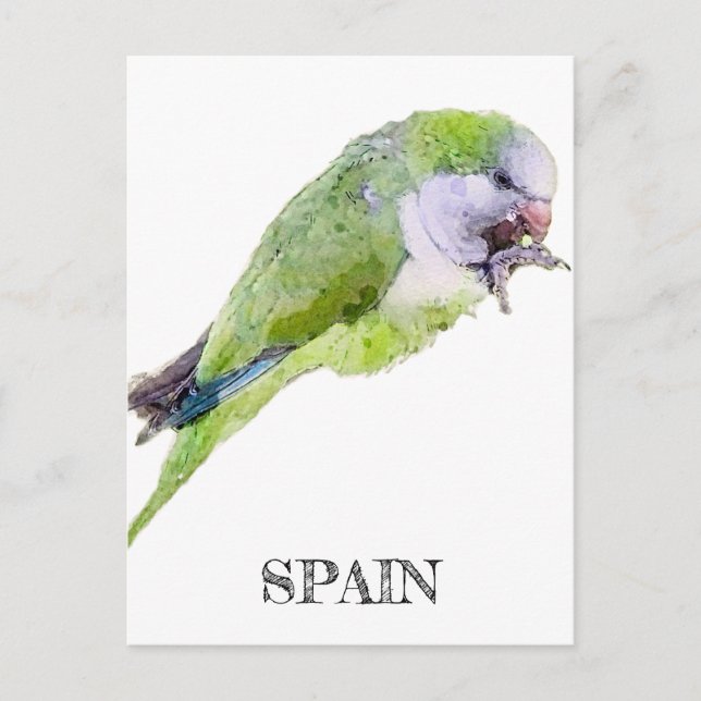 Aquarellmalerei mit grünem Papagei Postkarte (Vorderseite)
