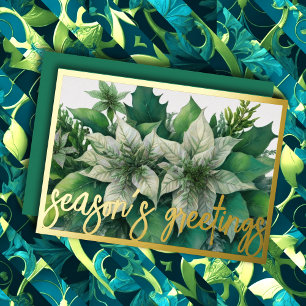 Aquarellmalerei Weiße Poinsettia Weihnachten Folien Feiertagskarte