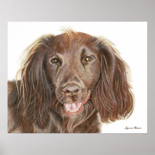 Aquarellmalerei Working Cocker Spaniel Hund Poster