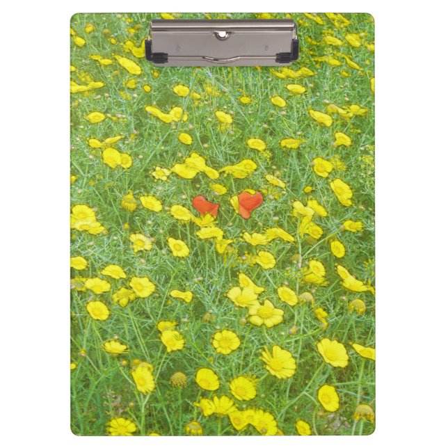 Aquarellmohn Klemmbrett (Vorderseite)