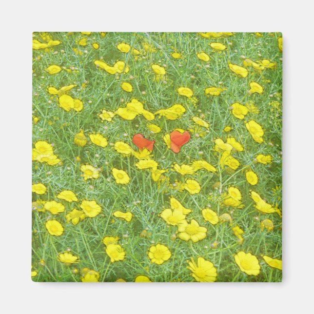 Aquarellmohn Magnet (Vorne)