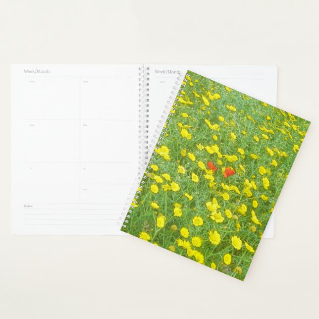 Aquarellmohn Planer (Anzeige)