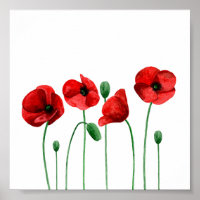 Aquarellmohnchen drucken Rote Blume Botanische Kun