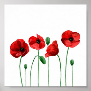 Aquarellmohnchen drucken Rote Blume Botanische Kun Poster