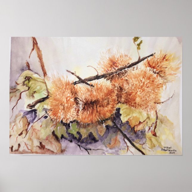 Aquarellnüsse Igel Poster (Vorne)