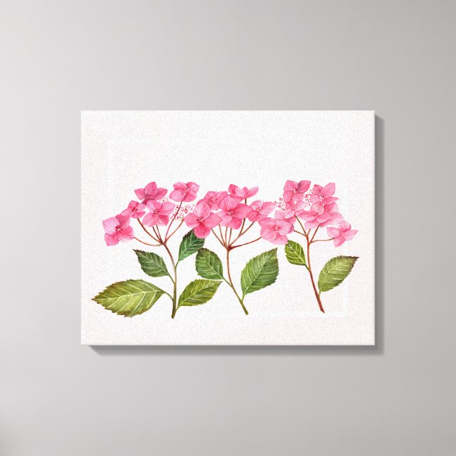 Aquarellpinke Hydrangea Lacecaps Illustration Leinwanddruck (Vorderseite)