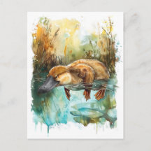 Aquarellplatypus Schwimmen im Teich