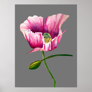 Aquarellrosa Mohn hübsche Blume Poster