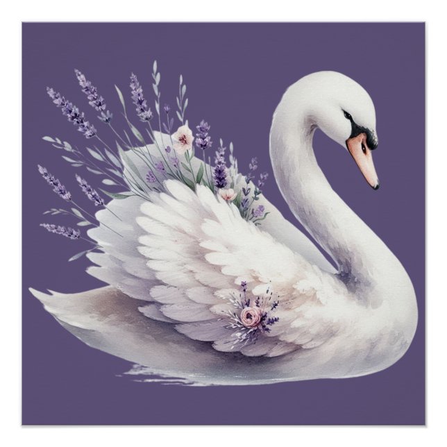 Aquarellschwan mit Lavender Florals Poster (Vorderseite)