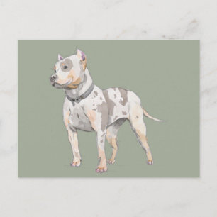 Aquarellskizze   Niedlicher Pit Bull Terrier Dog Postkarte