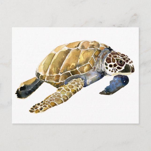 Aquarellskizze Postkarte (Vorderseite)