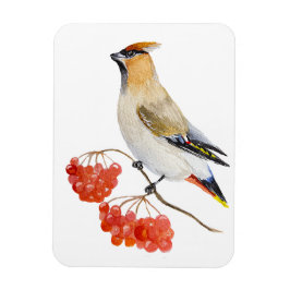 Aquarellwaldvogel wächst magnet