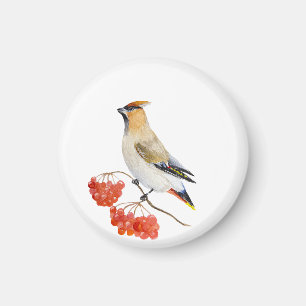 Aquarellwaldvogel wächst magnet