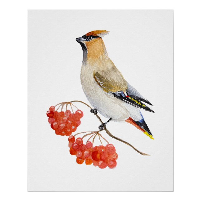 Aquarellwaldvogel wächst poster (Vorderseite)