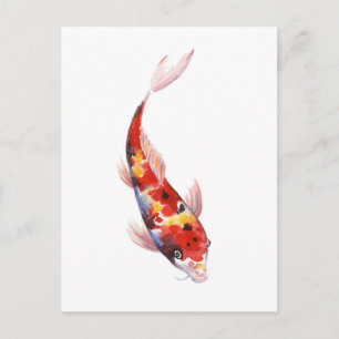 Aquarellzeichnung von Koi-Karpfen Postkarte
