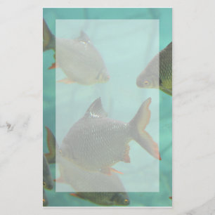 Aquarium-Art stationär Briefpapier