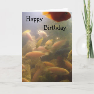 Aquarium Geburtstagskarte Karte