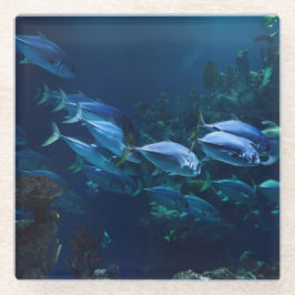 Aquarium Glasuntersetzer