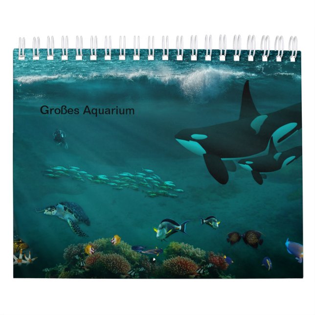 Aquarium Kalender (Titelbild)