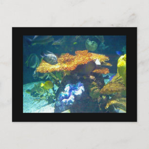Aquarium-Karte Postkarte