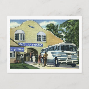 Aquarium, Key West, Florida Vintage Postkarte