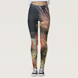 Aquarium Leggings