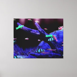 Aquarium Leinwanddruck