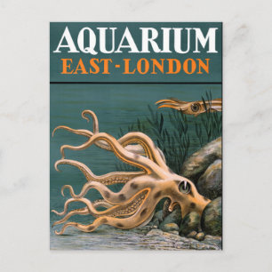 Aquarium Octopus Vintage Poster restauriert Postkarte