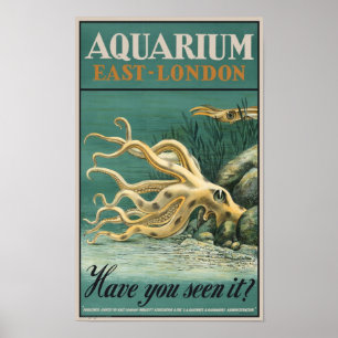 Aquarium, Ostlondon-Krake Poster