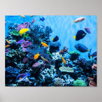 Aquarium Poster