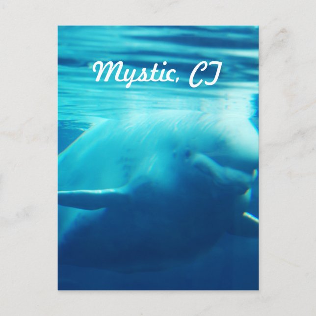 Aquarium Postkarte (Vorderseite)