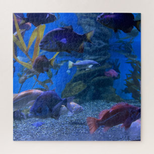 Aquarium Puzzle