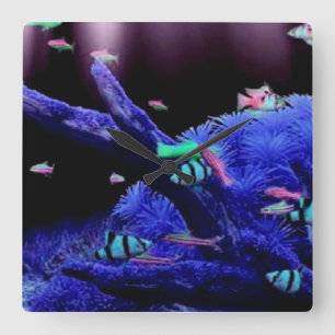 Aquarium Quadratische Wanduhr