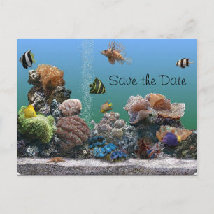 Aquarium Save the Date Ankündigungspostkarte