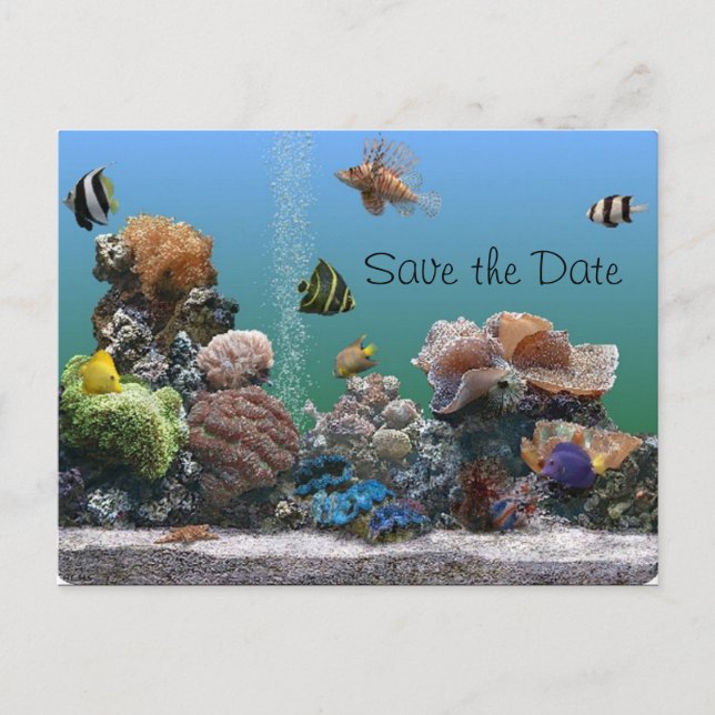 Aquarium Save the Date Ankündigungspostkarte (Vorderseite)