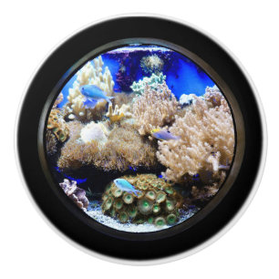 Aquarium Tropische Fische und Korallen Keramikknauf