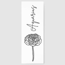 Aquarius Carnation | Blume Zodiac Bo