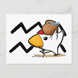 Aquarius Chicken Postcard Postkarte