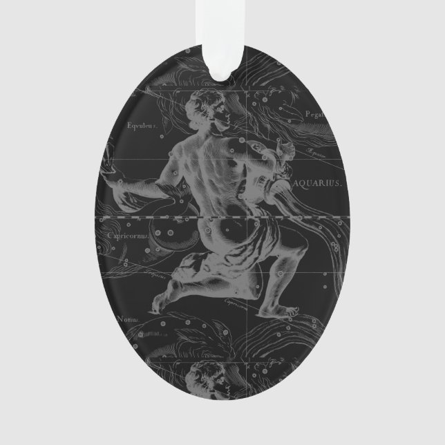 Aquarius Constellation Hevelius 1690 auf Schwarz Ornament (Vorderseite)