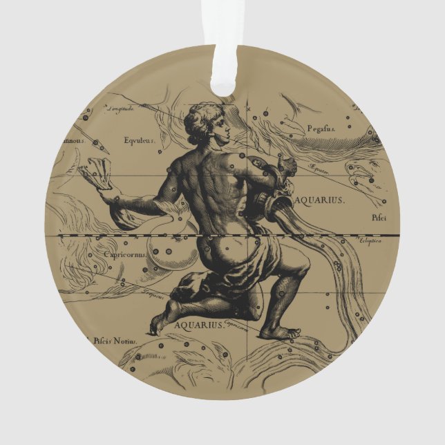 Aquarius Constellation Hevelius 1690 Gravur Ornament (Rückseite)