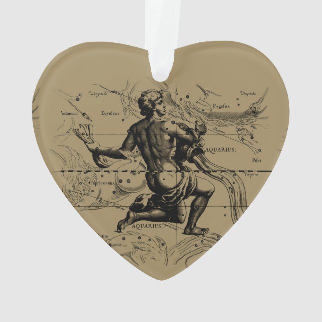 Aquarius Constellation Hevelius 1690 Gravur Ornament (Rückseite)
