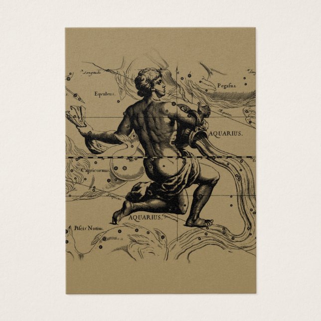 Aquarius Constellation Map Hevelius 1690 auf Taupe (Vorderseite)