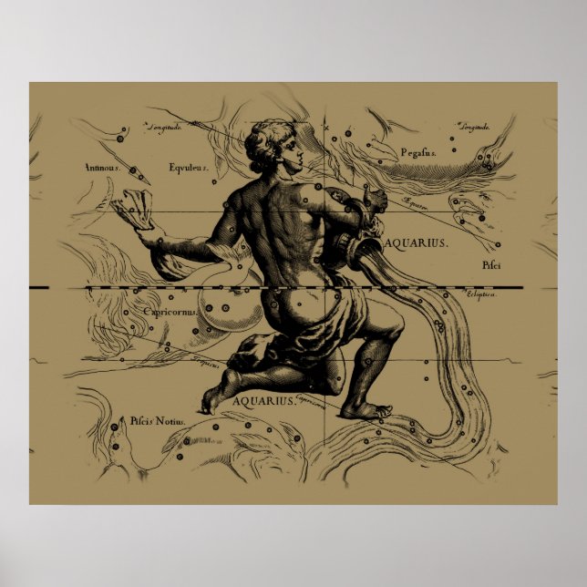 Aquarius Constellation Map Hevelius 1690 auf Taupe Poster (Vorne)