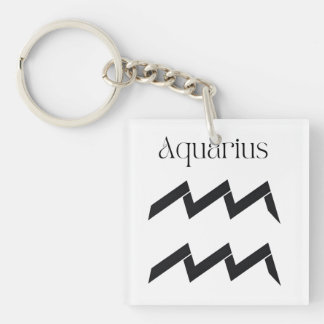 Aquarius: Echoes of Freedom Schlüsselanhänger