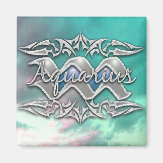 AQUARIUS MAGNET